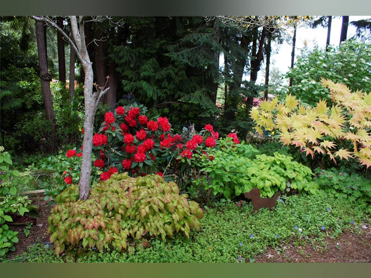 1571 Arbutus Drive, Nanoose, BC, V9P 9C8 - 52