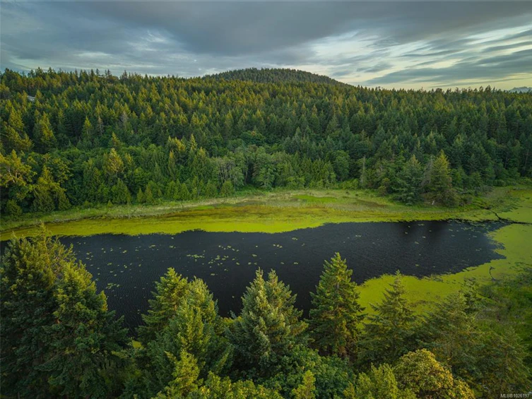 3355 Rockhampton Road, Fairwinds, BC, V9P 9H5 - 41