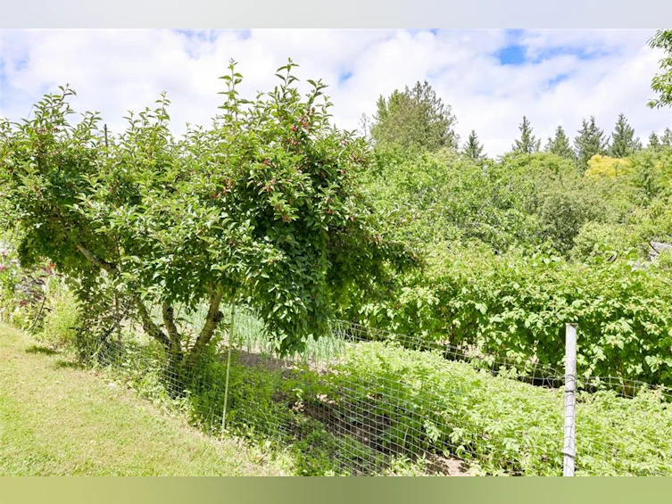 5489 Forest Hill Road, Saanich, BC, V9E 2A8 - 34