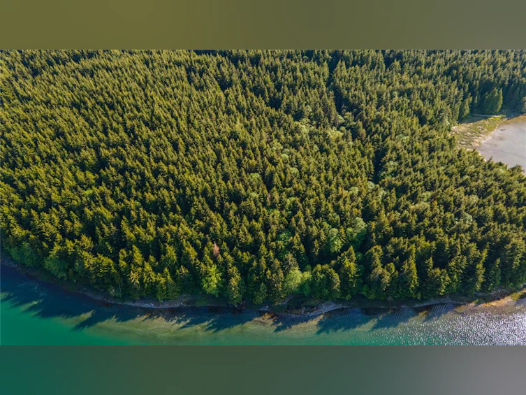 SL2 Kvarno Island, Ucluelet, BC, V0R 3A0 - 6