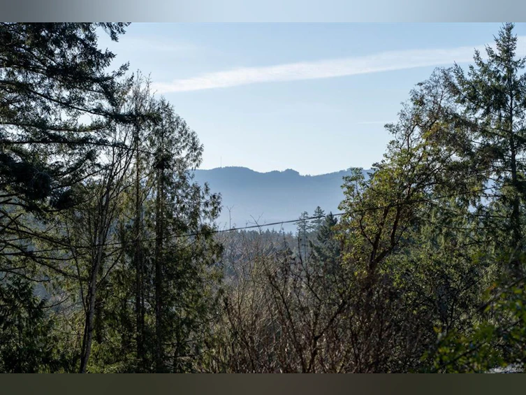 1183-1193 Hillgrove Road, North Saanich, BC, V8L 5R8 - 23