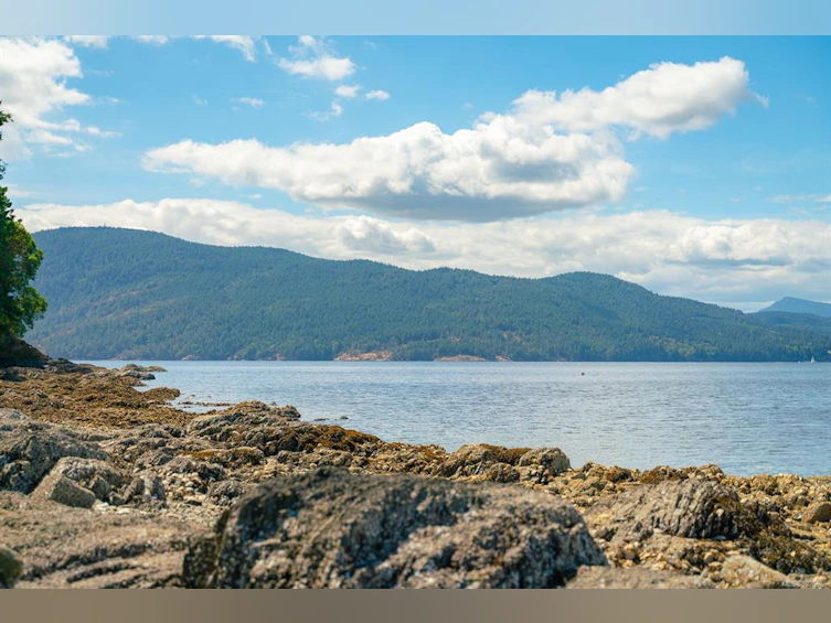 150 Jenkins Road, Salt Spring Island, BC, V8K 2M9 - 64