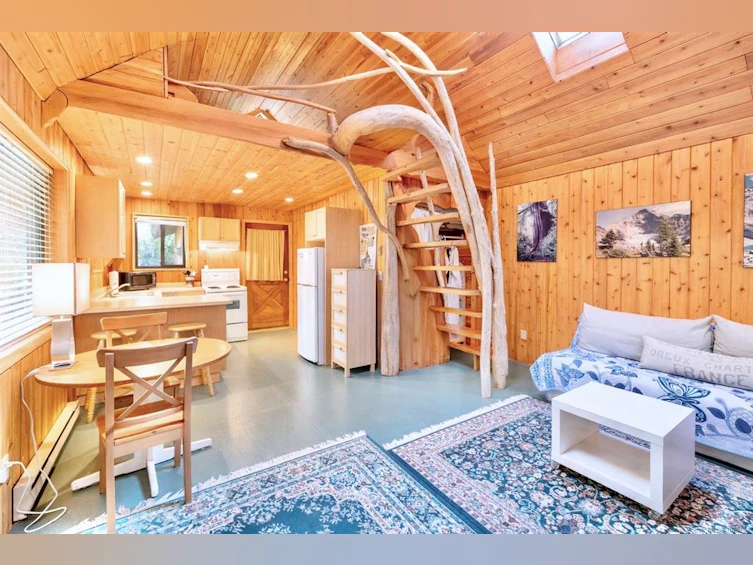 1290 Lynn Road, Tofino, BC, V0R 2Z0 - 27