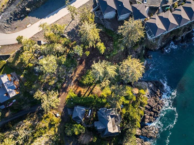 1010 Roxview Court - 3