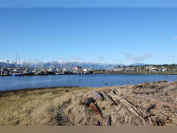 65 Jane Place, Comox, BC, V9M 3N3 - 58