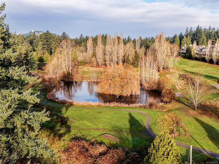 571 Caselton Place, Saanich, BC, V8Z 7Y5 - 31