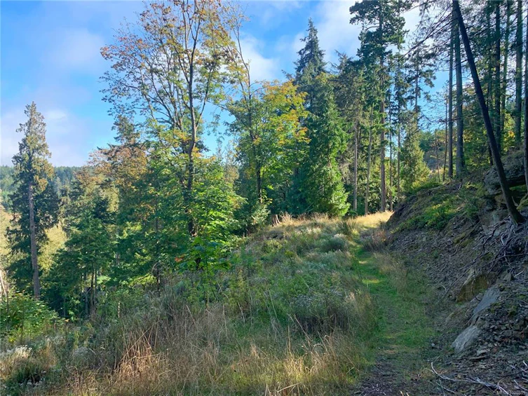 0 Spruce Avenue, Gabriola Island, BC, V0R 1X3 - 12