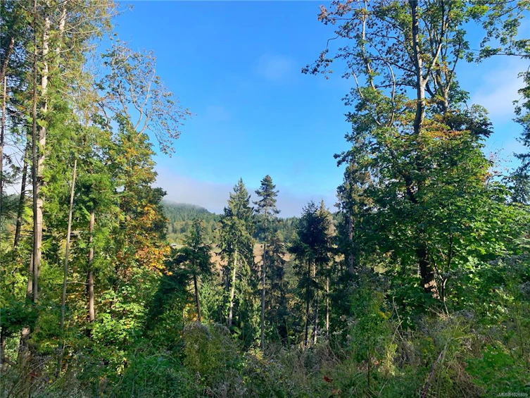 0 Spruce Avenue, Gabriola Island, BC, V0R 1X3 - 8