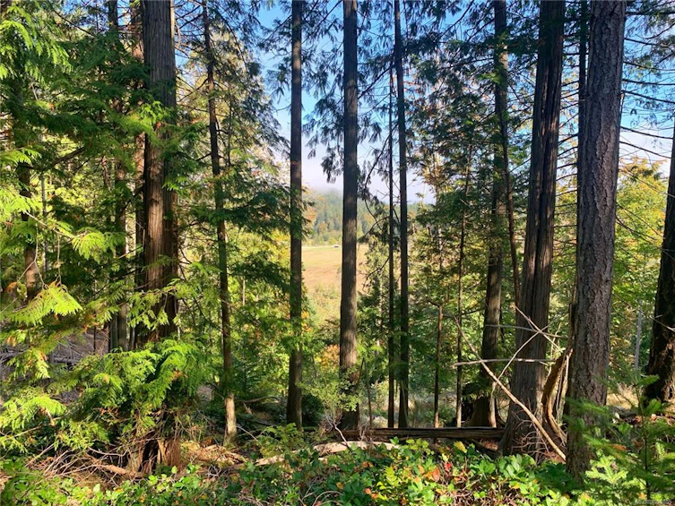 0 Spruce Avenue, Gabriola Island, BC, V0R 1X3 - 9