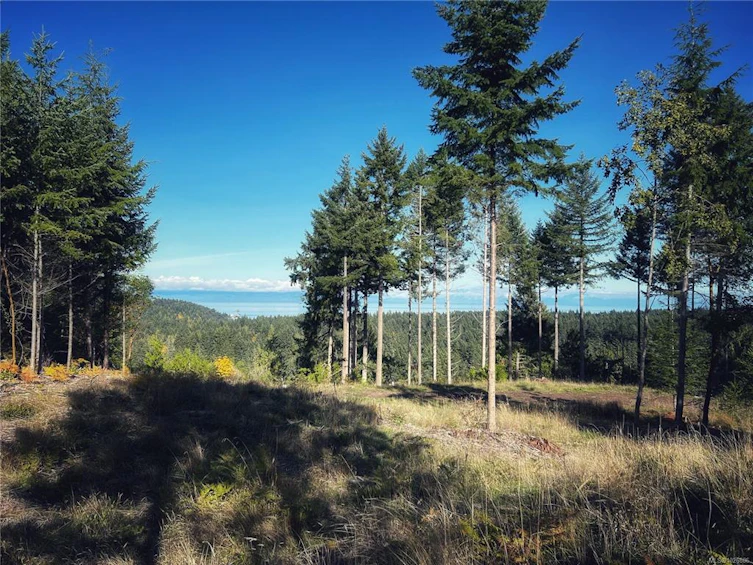Lt 5 Spruce Avenue, Gabriola Island, BC, V0R 1X2 - 2