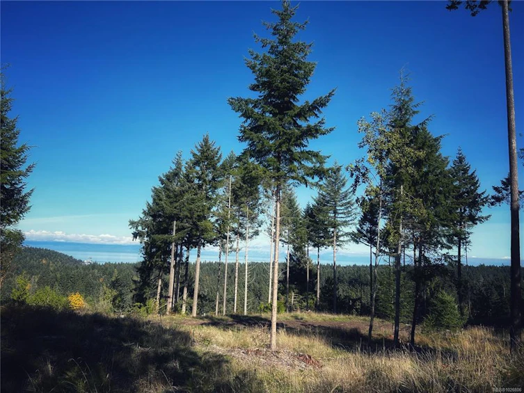 Lt 5 Spruce Avenue, Gabriola Island, BC, V0R 1X2 - 4