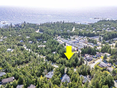 844 Rainforest Drive - 3