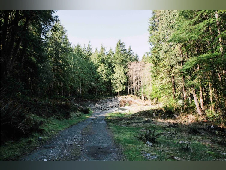 390 Bamfield Inlet, Bamfield, BC, V0R 1B0 - 22