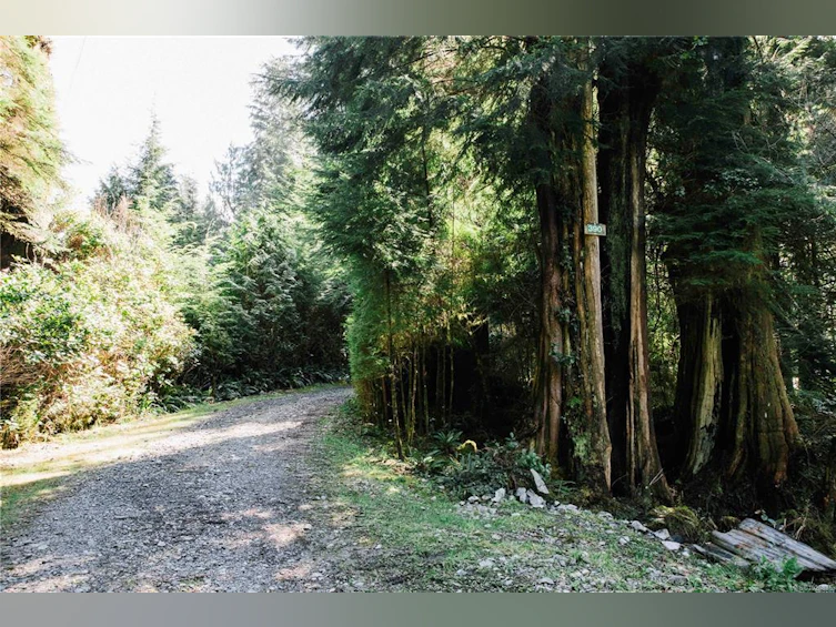 390 Bamfield Inlet, Bamfield, BC, V0R 1B0 - 23