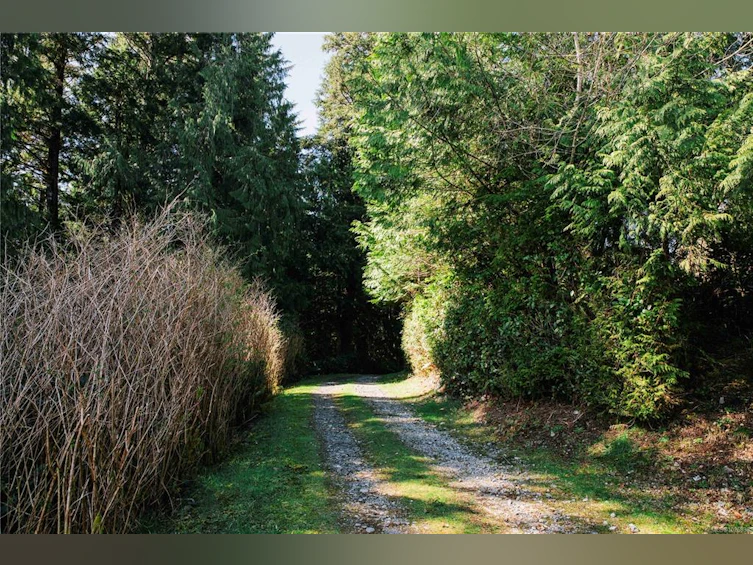 390 Bamfield Inlet, Bamfield, BC, V0R 1B0 - 27