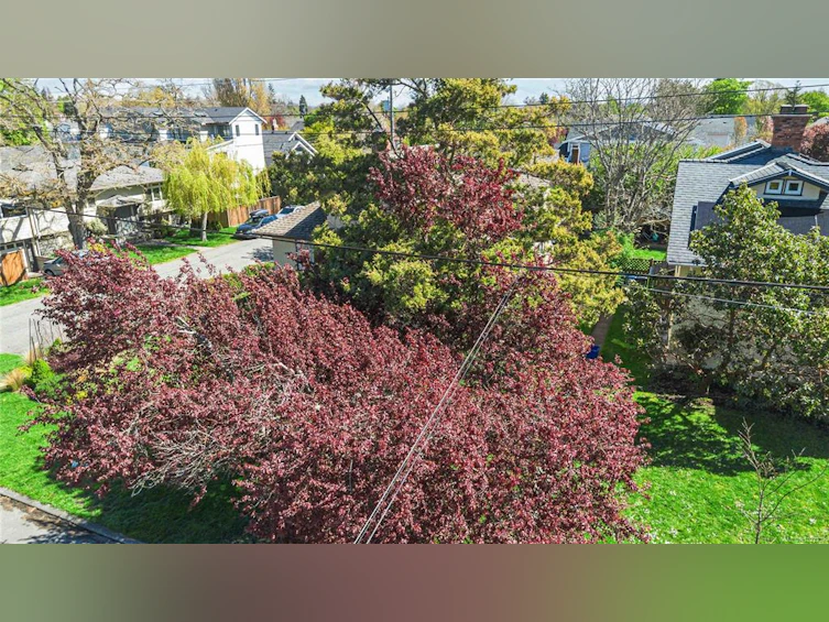 895 Falkland Road, Oak Bay, BC, V8S 4L9 - 58