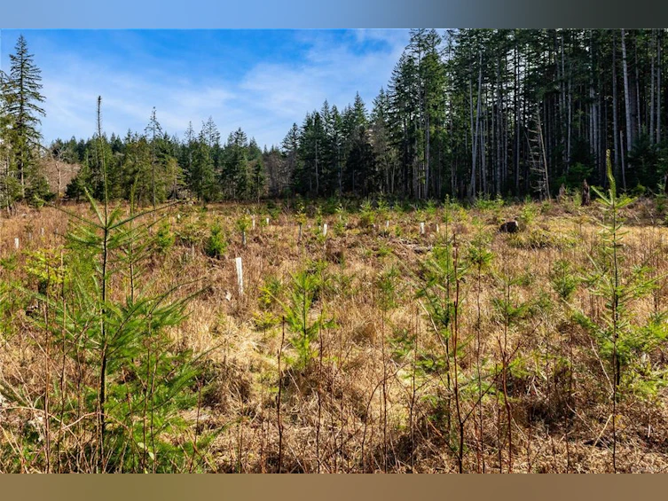 Lot 1 Cape Mudge Road, Quadra Island, BC, V0P 1N0 - 16