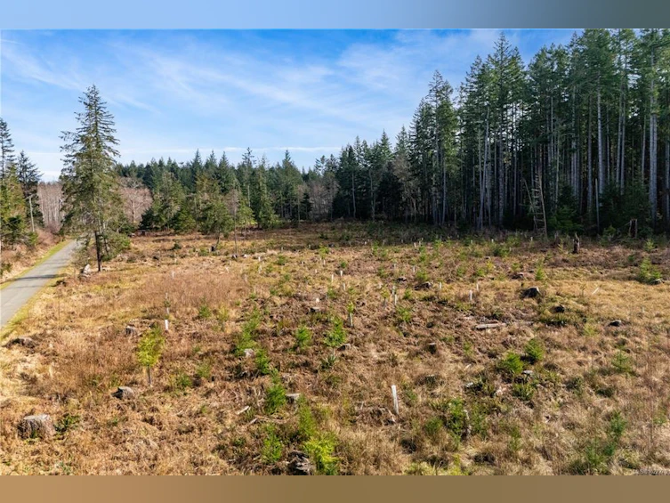 Lot 1 Cape Mudge Road, Quadra Island, BC, V0P 1N0 - 8