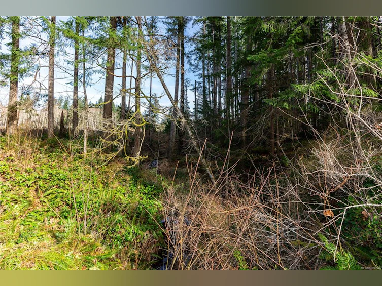 Lot 1 Cape Mudge Road, Quadra Island, BC, V0P 1N0 - 6