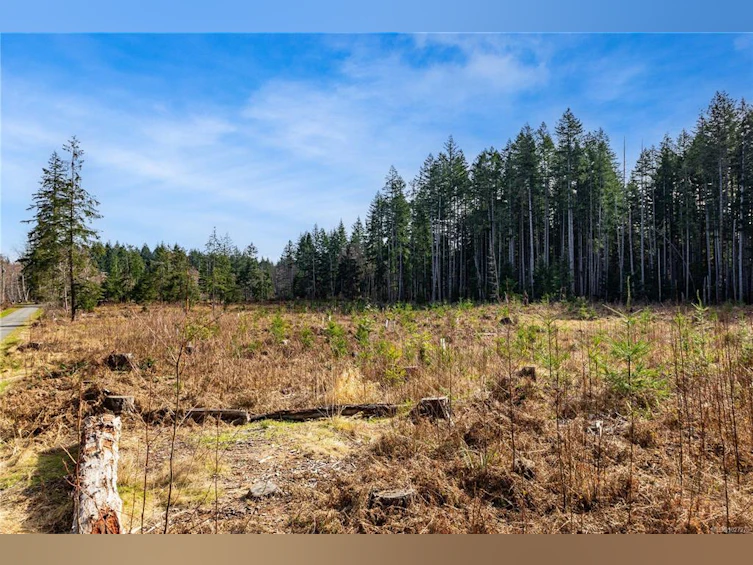 Lot 1 Cape Mudge Road, Quadra Island, BC, V0P 1N0 - 13