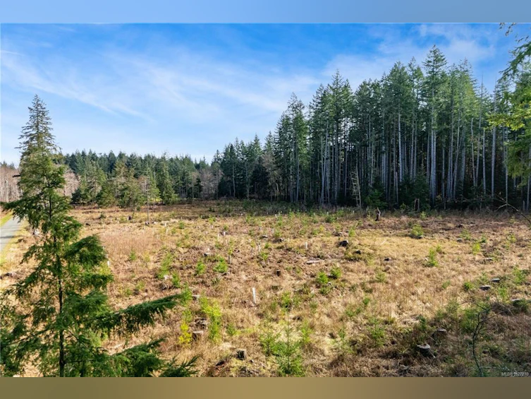 Lot 1 Cape Mudge Road, Quadra Island, BC, V0P 1N0 - 7