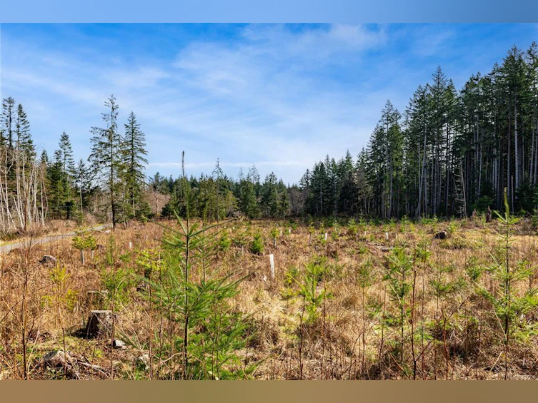 Lot 1 Cape Mudge Road, Quadra Island, BC, V0P 1N0 - 15