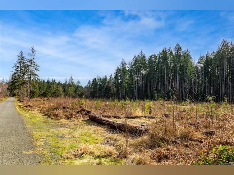 Lot 1 Cape Mudge Road, Quadra Island, BC, V0P 1N0 - 4
