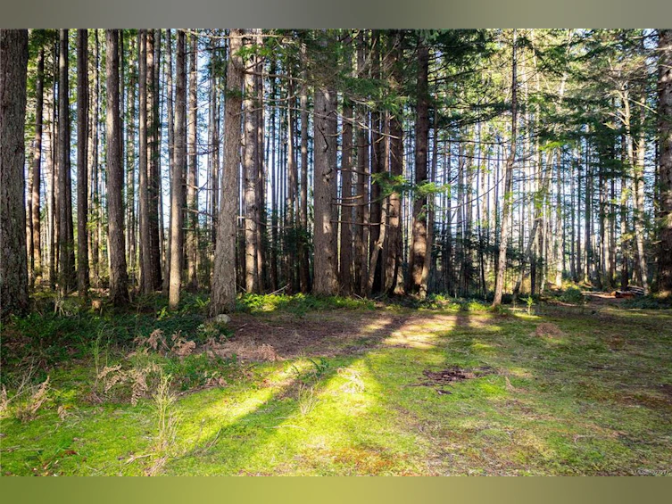 596 Cape Mudge Road, Quadra Island, BC, V0P 1N0 - 9