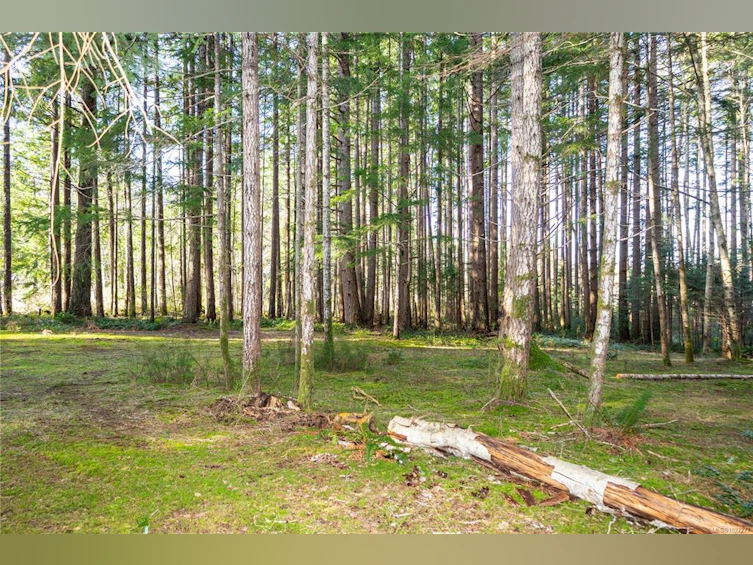 596 Cape Mudge Road, Quadra Island, BC, V0P 1N0 - 8