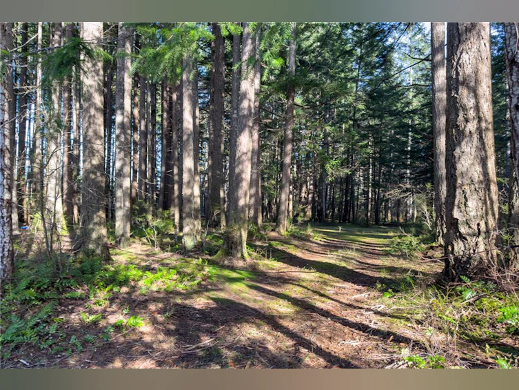 596 Cape Mudge Road, Quadra Island, BC, V0P 1N0 - 6