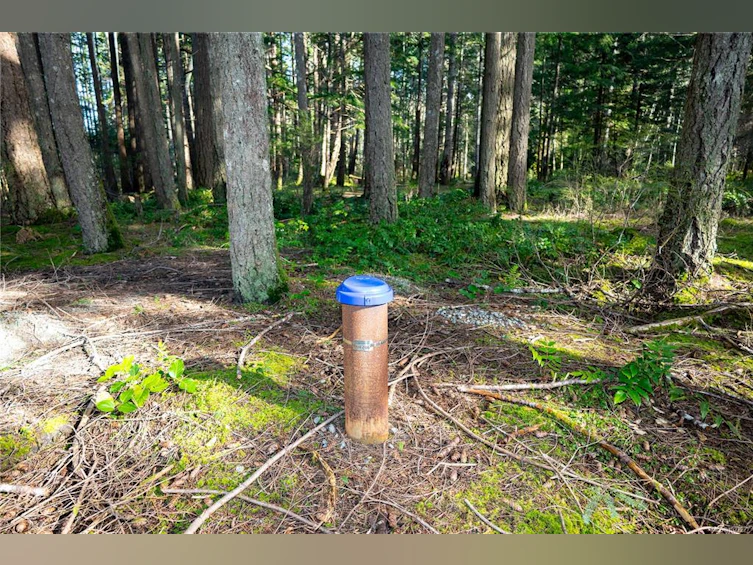 596 Cape Mudge Road, Quadra Island, BC, V0P 1N0 - 5
