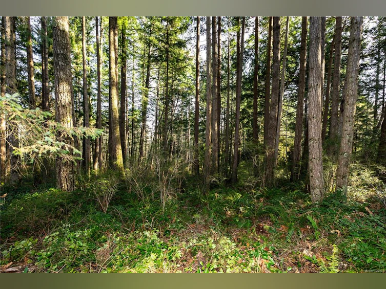 596 Cape Mudge Road, Quadra Island, BC, V0P 1N0 - 24