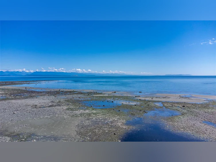 3816 S Island Highway, Campbell River, BC, V9H 1M6 - 76