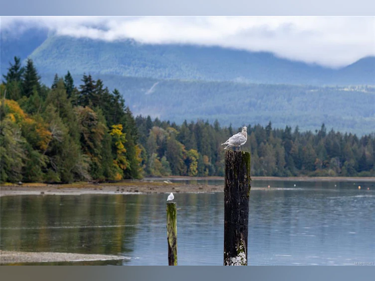 151 Burne Road, Bowser/Deep Bay, BC, V0R 1G0 - 20
