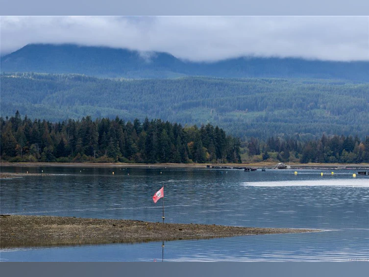 151 Burne Road, Bowser/Deep Bay, BC, V0R 1G0 - 19