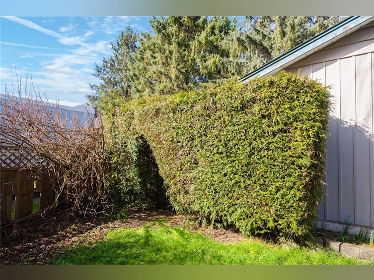 1860 Cranberry Circle, Campbell River, BC, V9W 5P9 - 27
