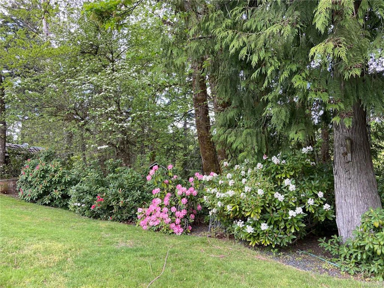 4345 Alderwood Drive, Port Alberni, BC, V9Y 4B5 - 24