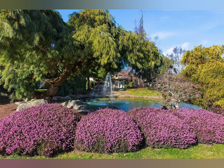 802 Lakes Boulevard, French Creek, BC, V9P 2P8 - 44