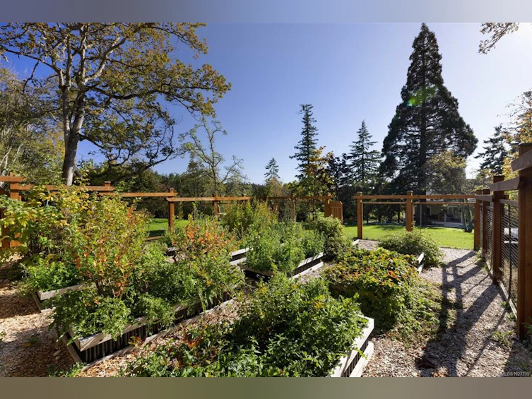 11321 Chalet Road, North Saanich, BC, V8L 5M1 - 5