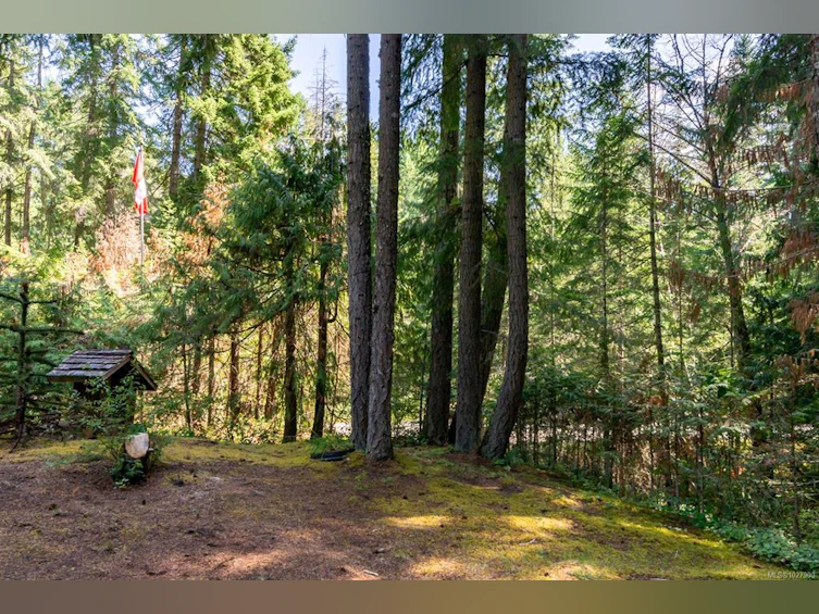 Lt 20&21 Gold River Highway, Campbell River, BC, V9H 1P1 - 29