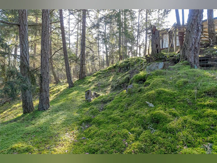 1650 Claudet Road, Nanoose, BC, V9P 9B4 - 48