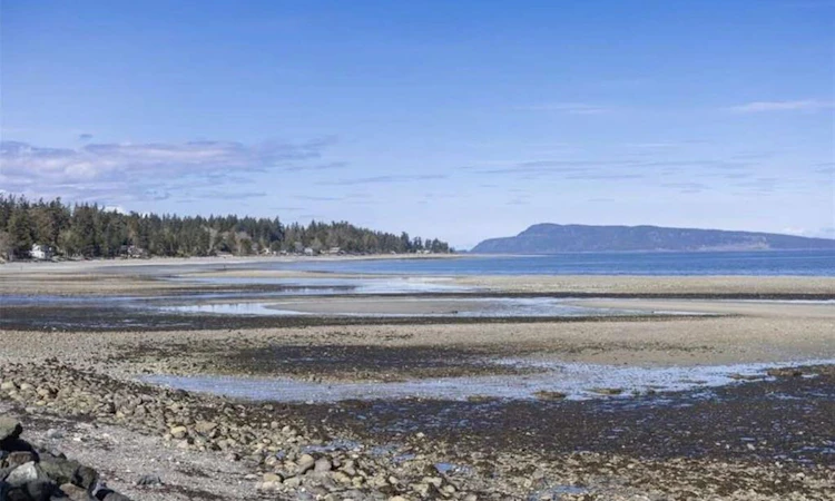 53-6050 W Island Highway