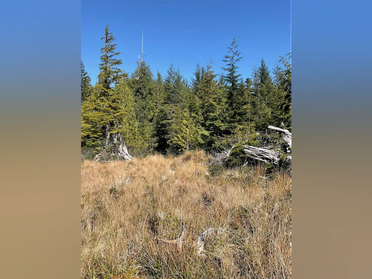 LT 15 Mitchell Bay Road, Sointula, BC, V0N 3E0 - 18