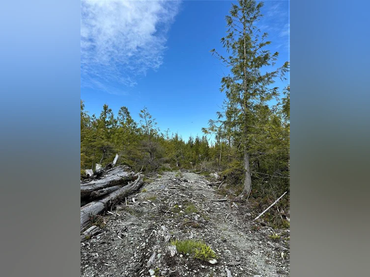 LT 15 Mitchell Bay Road, Sointula, BC, V0N 3E0 - 38