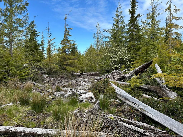 LT 15 Mitchell Bay Road, Sointula, BC, V0N 3E0 - 40