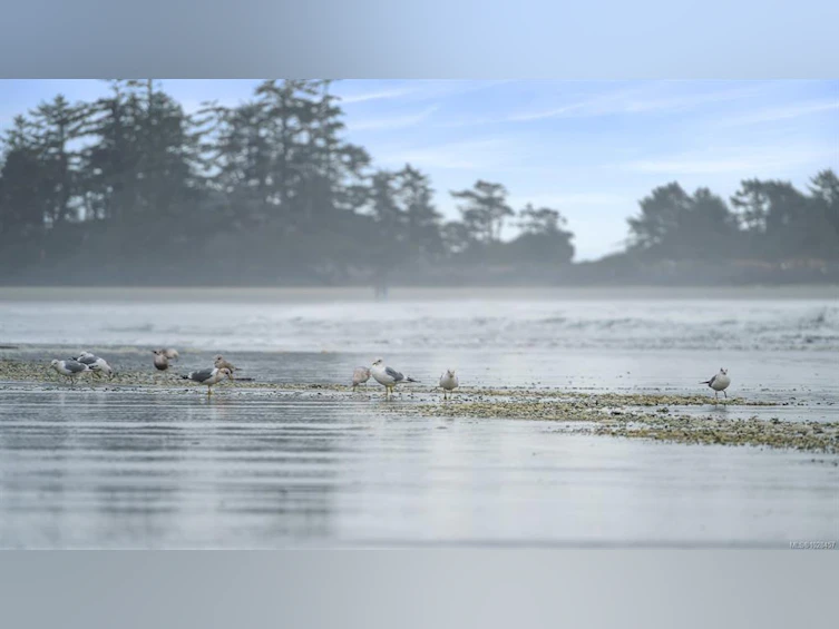 1257 Lynn Road, Tofino, BC, V0R 2Z0 - 70