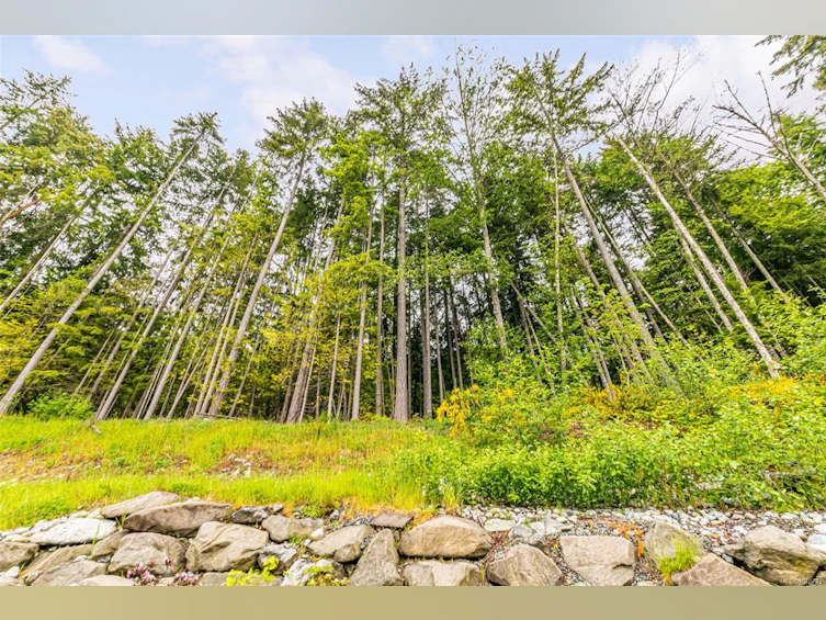 924 Craig Road, Ladysmith, BC, V9G 2C4 - 26