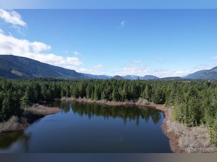 Block 200 Hudgrove Road, Lake Cowichan, BC, V0R 2G0 - 11