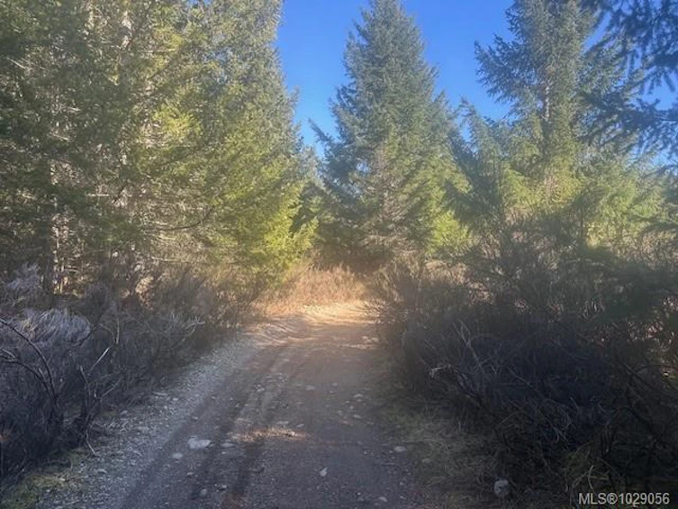Block 200 Hudgrove Road, Lake Cowichan, BC, V0R 2G0 - 6