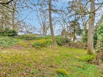 Lot N W Burnside Road - 3